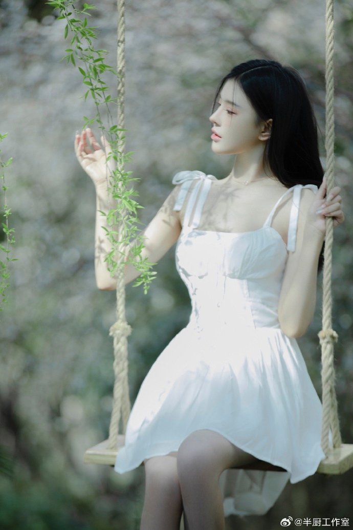 阿甘正传 封面